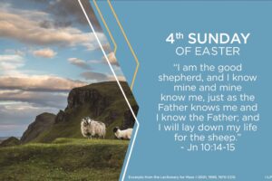 Bulletin Cover 4th Sunday of Easter -Good Shepherd option 1