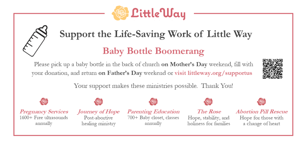 Baby Bottle Boomerang Returns!