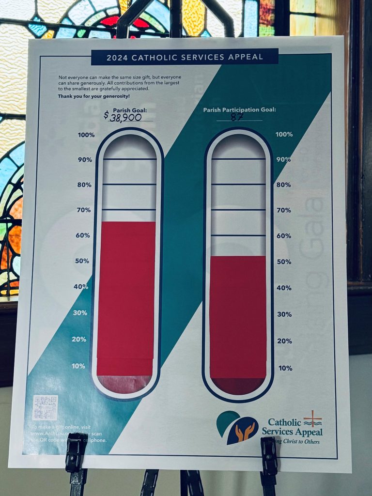 Catholic Services Appeal Update Through November 8th