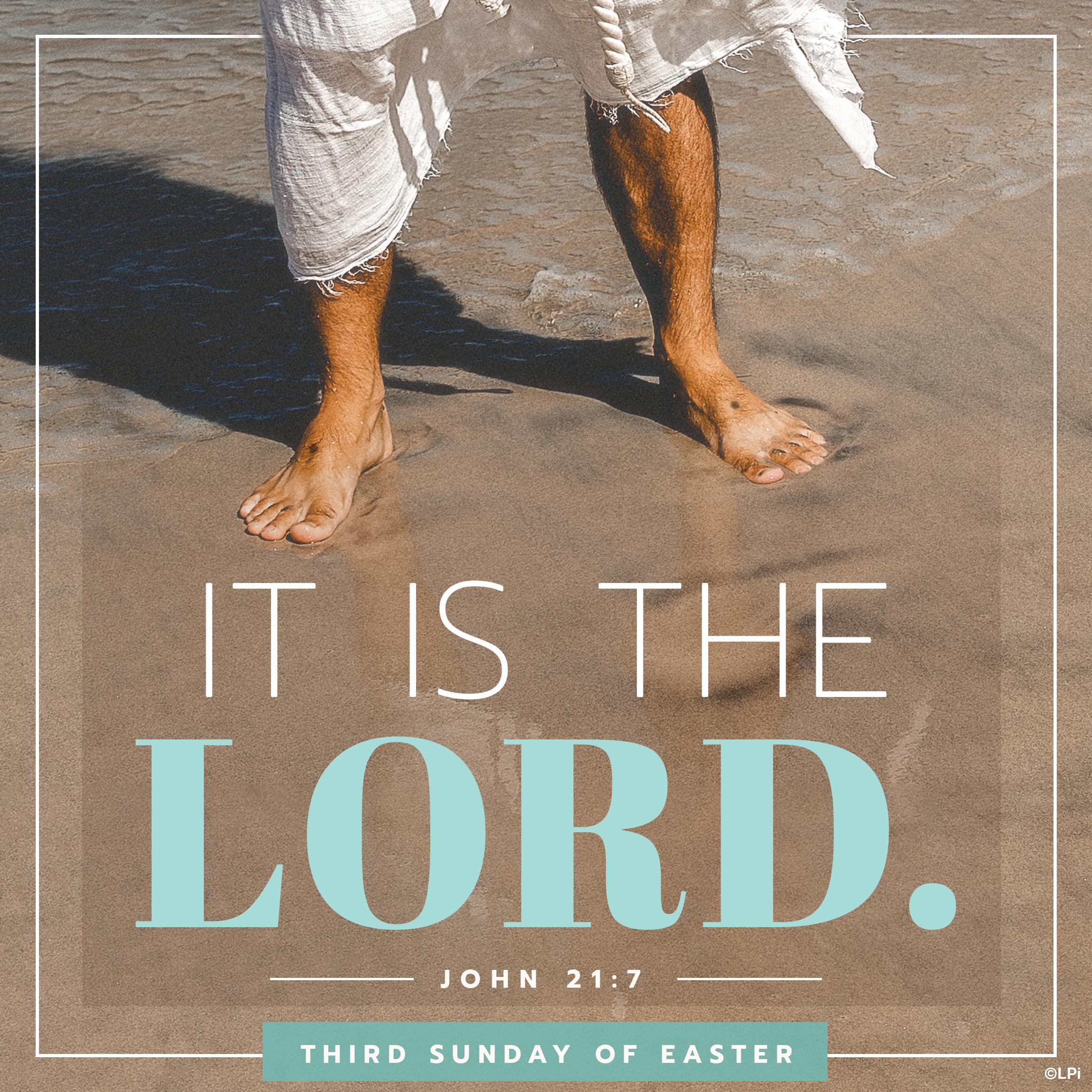 This Weekend’s Bulletin for the 3rd Sunday of Easter (May 4th)