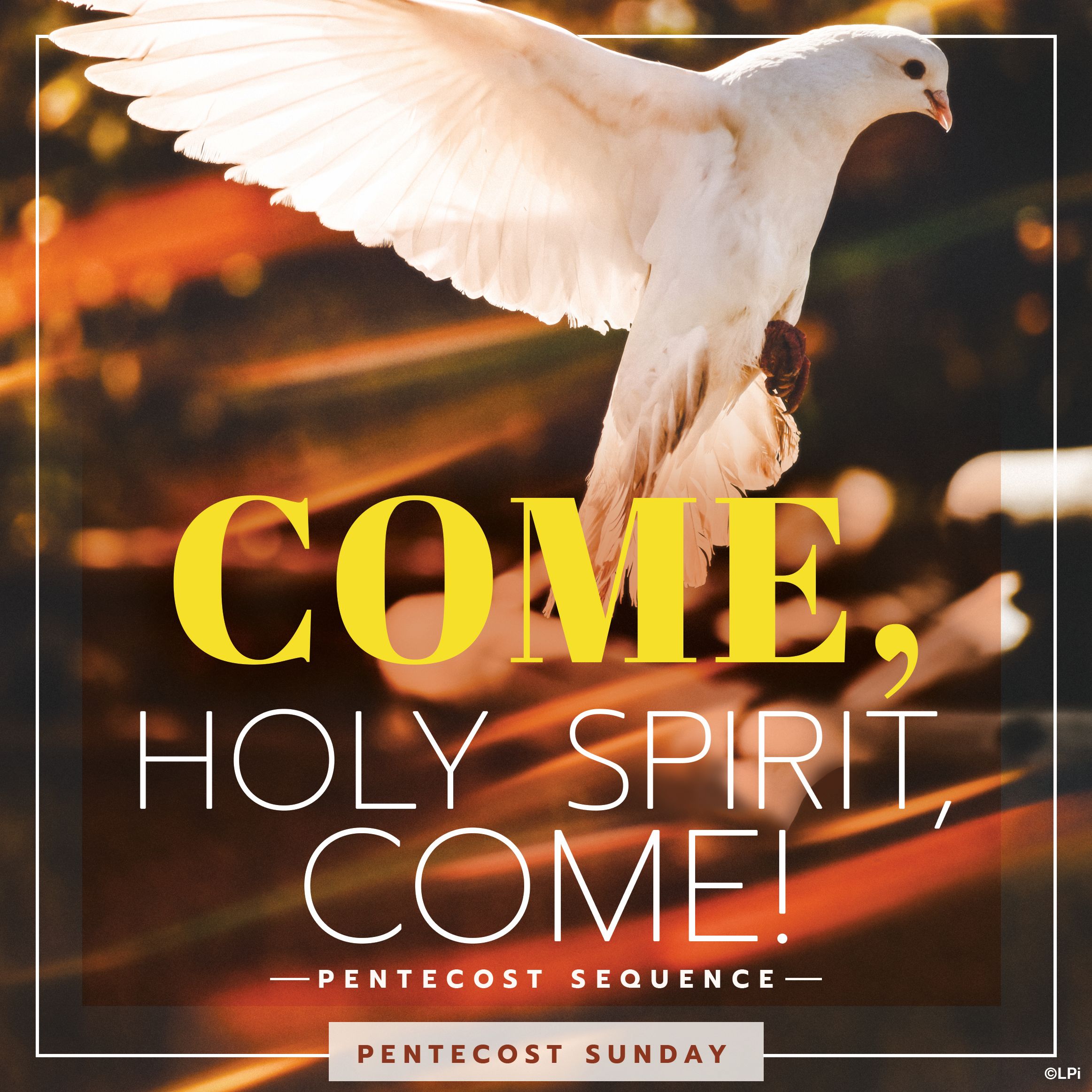 Pentecost Sunday Bulletin (June 8)