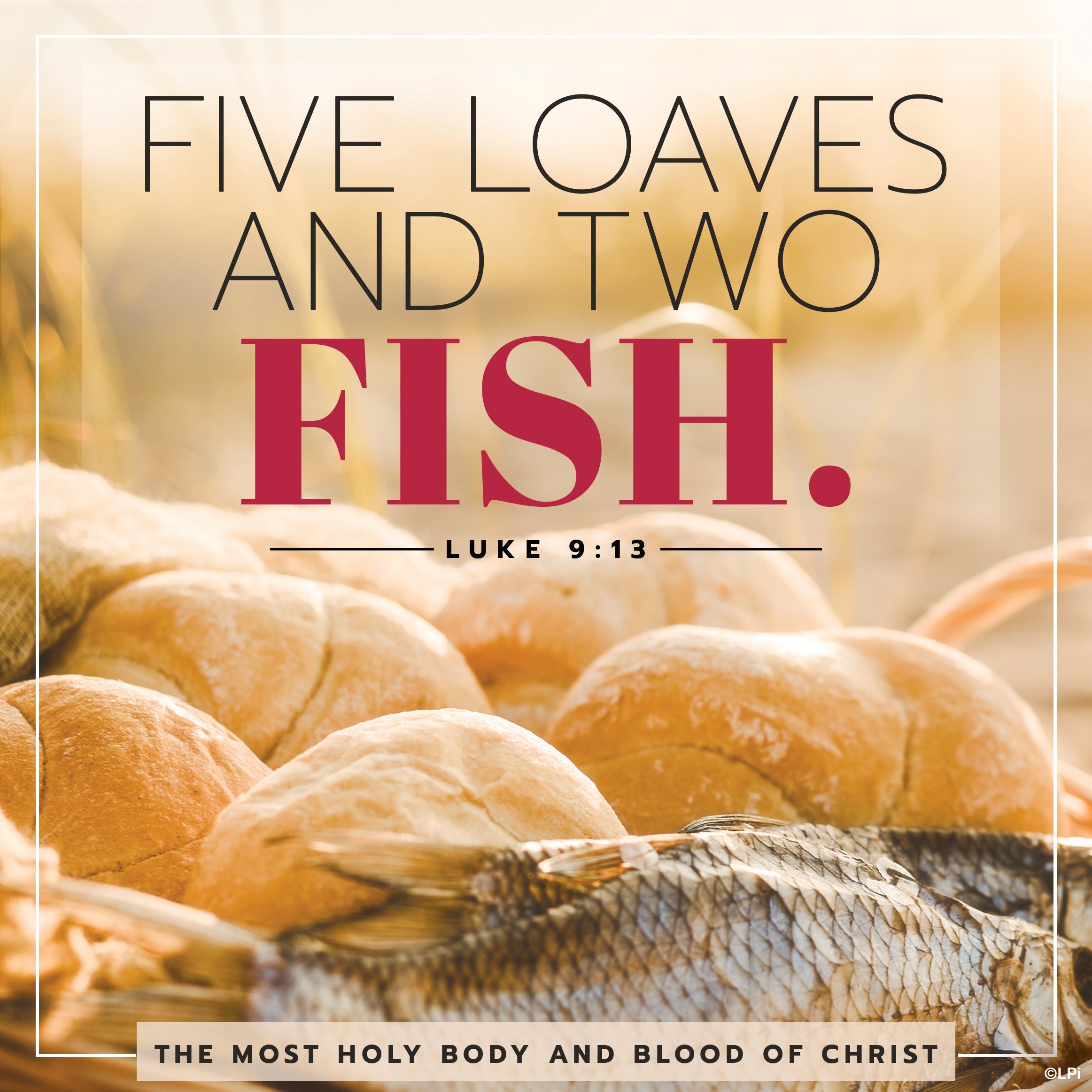 The Most Holy Body and Blood of Christ Sunday Bulletin (June 22)