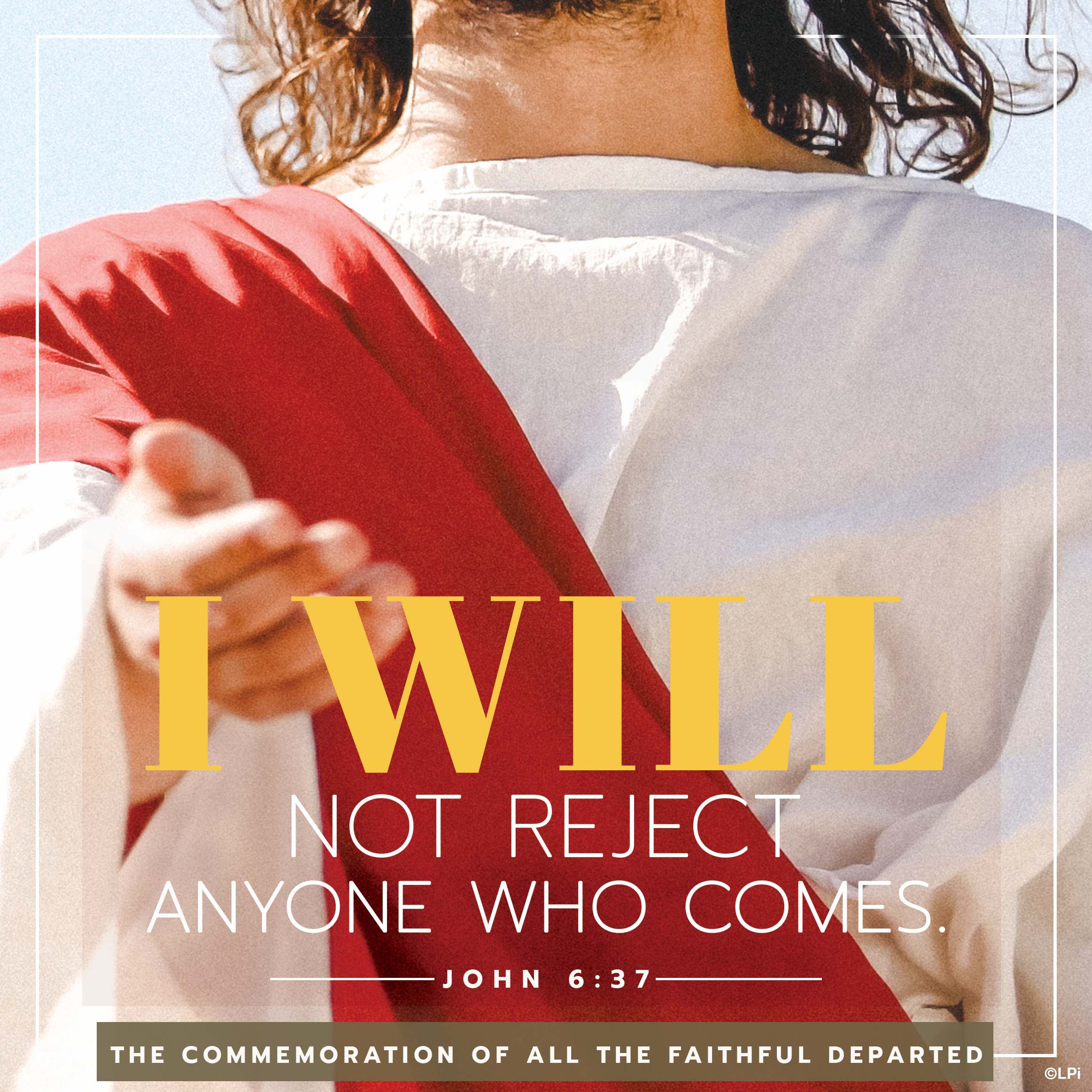 Bulletin for November 2nd Weekend