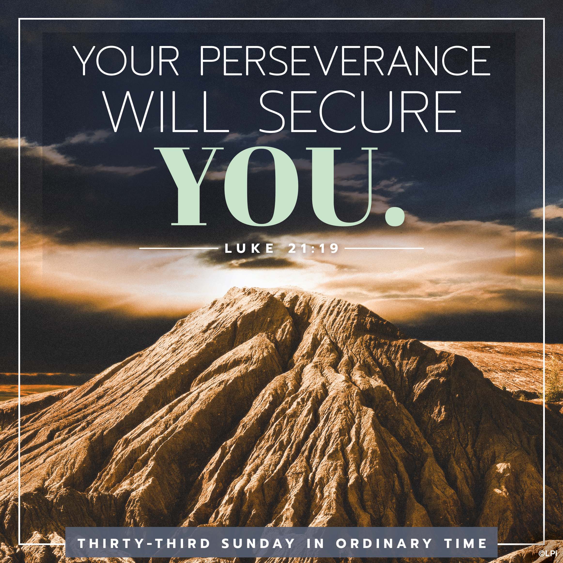 Bulletin for November 16th Weekend