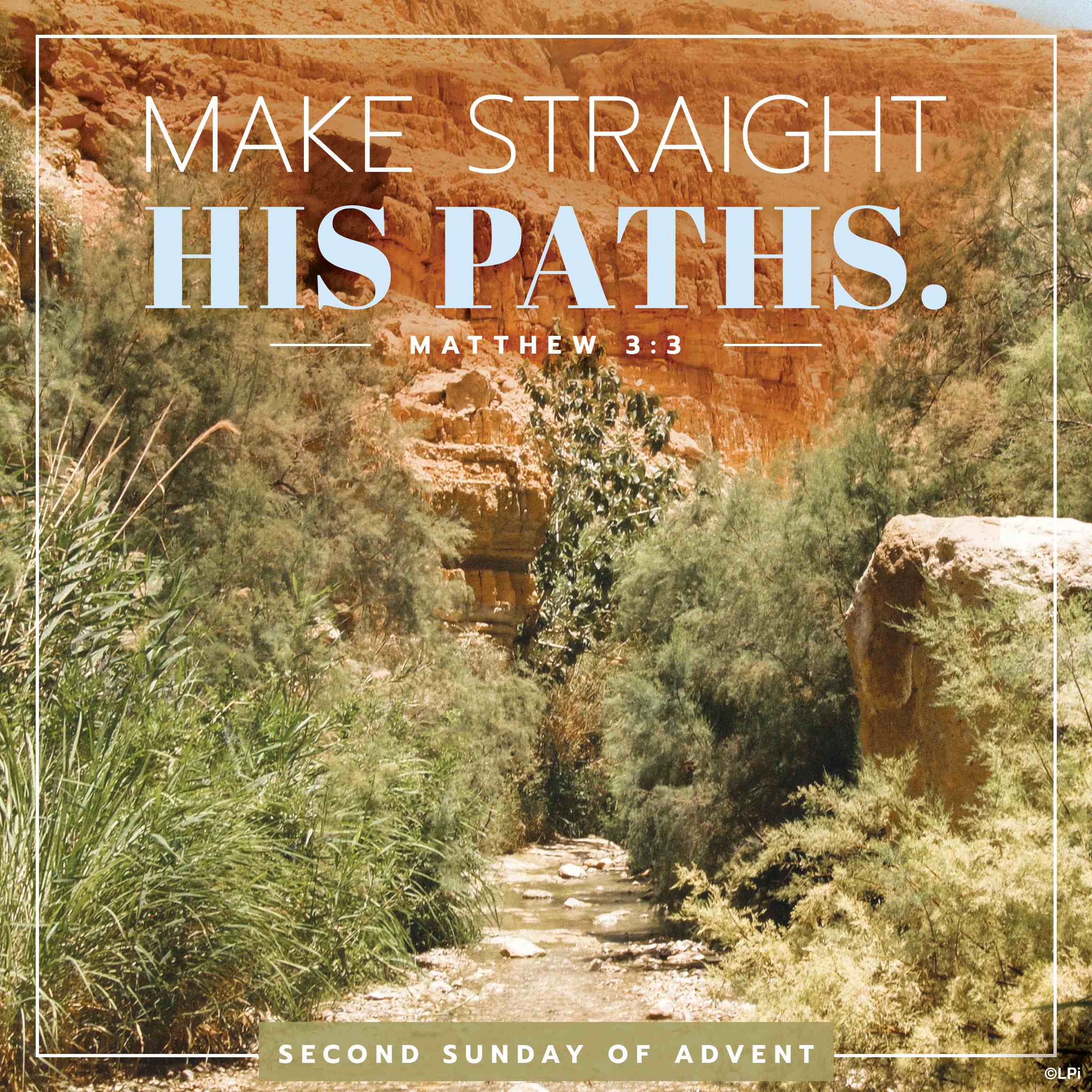 Bulletin for December 7th Weekend