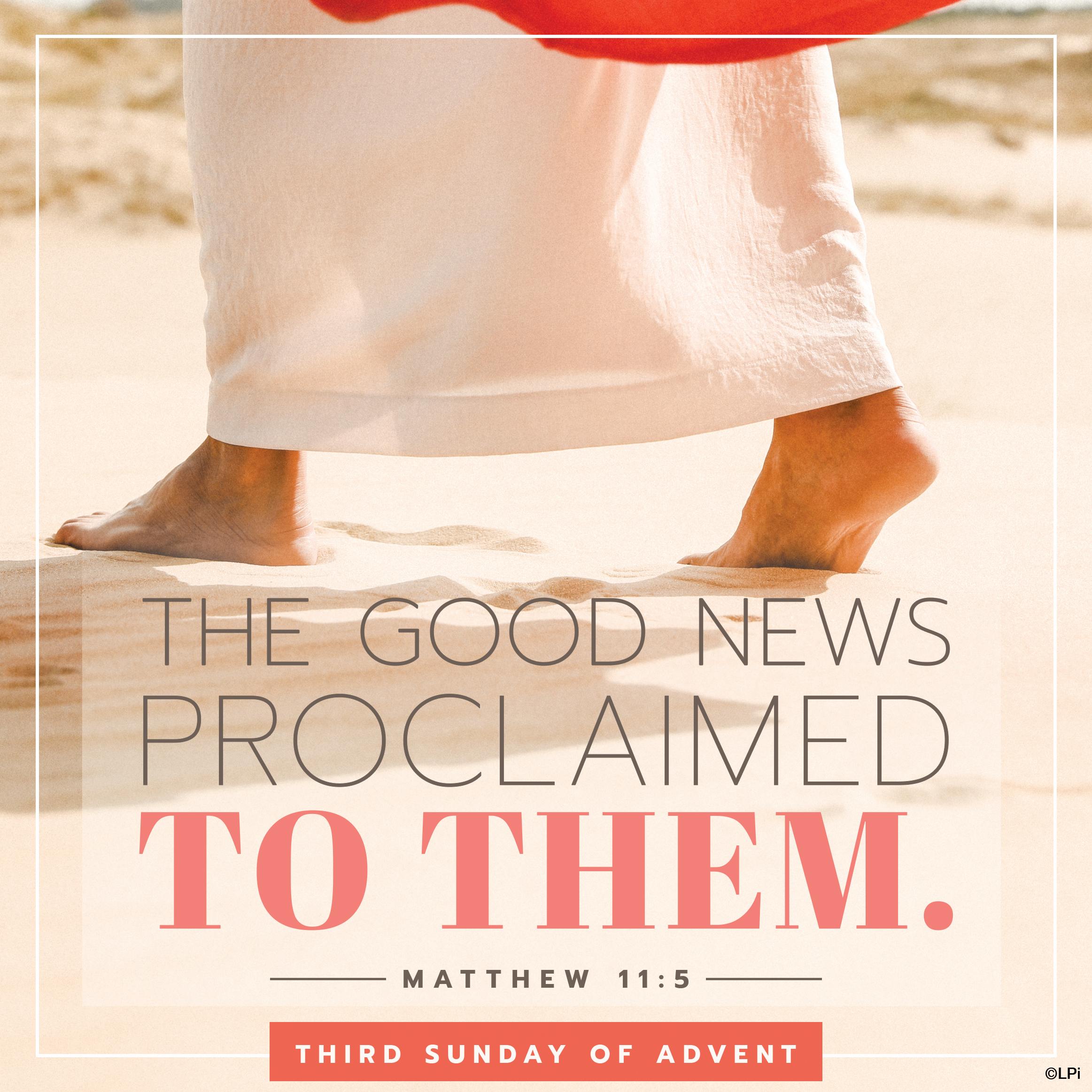 Bulletin for December 14th Weekend