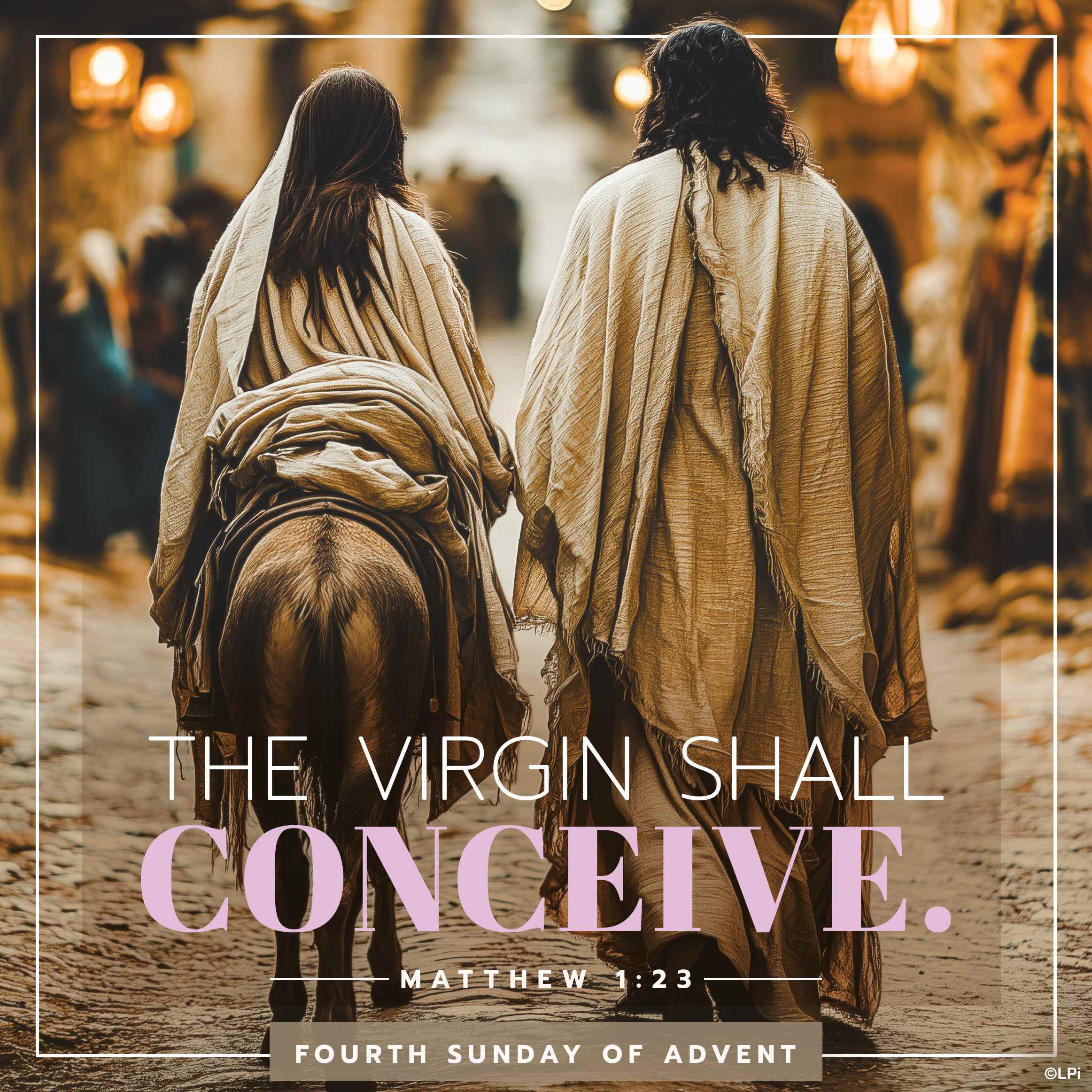 Bulletin for December 21st Weekend