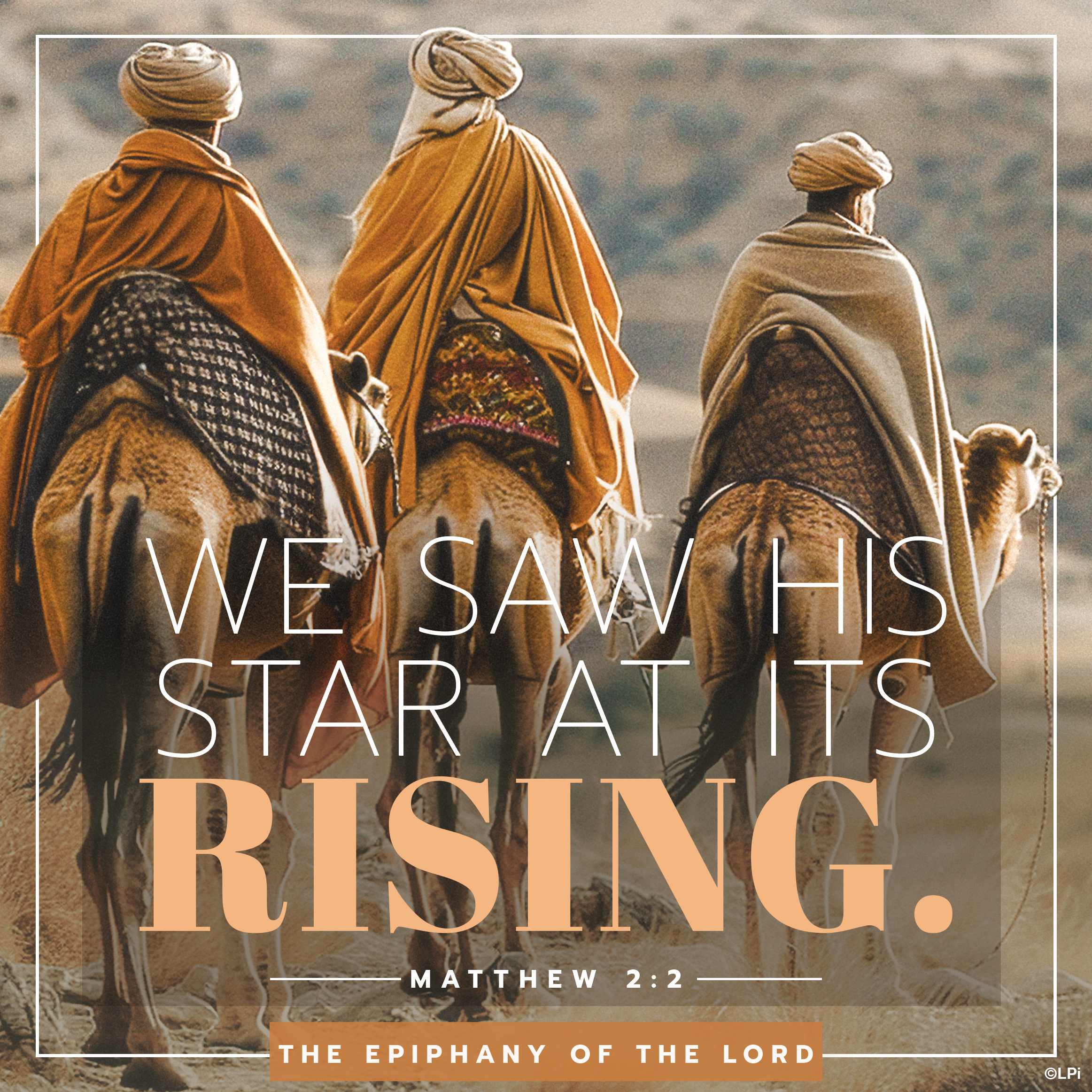 Bulletin for January 4th Weekend