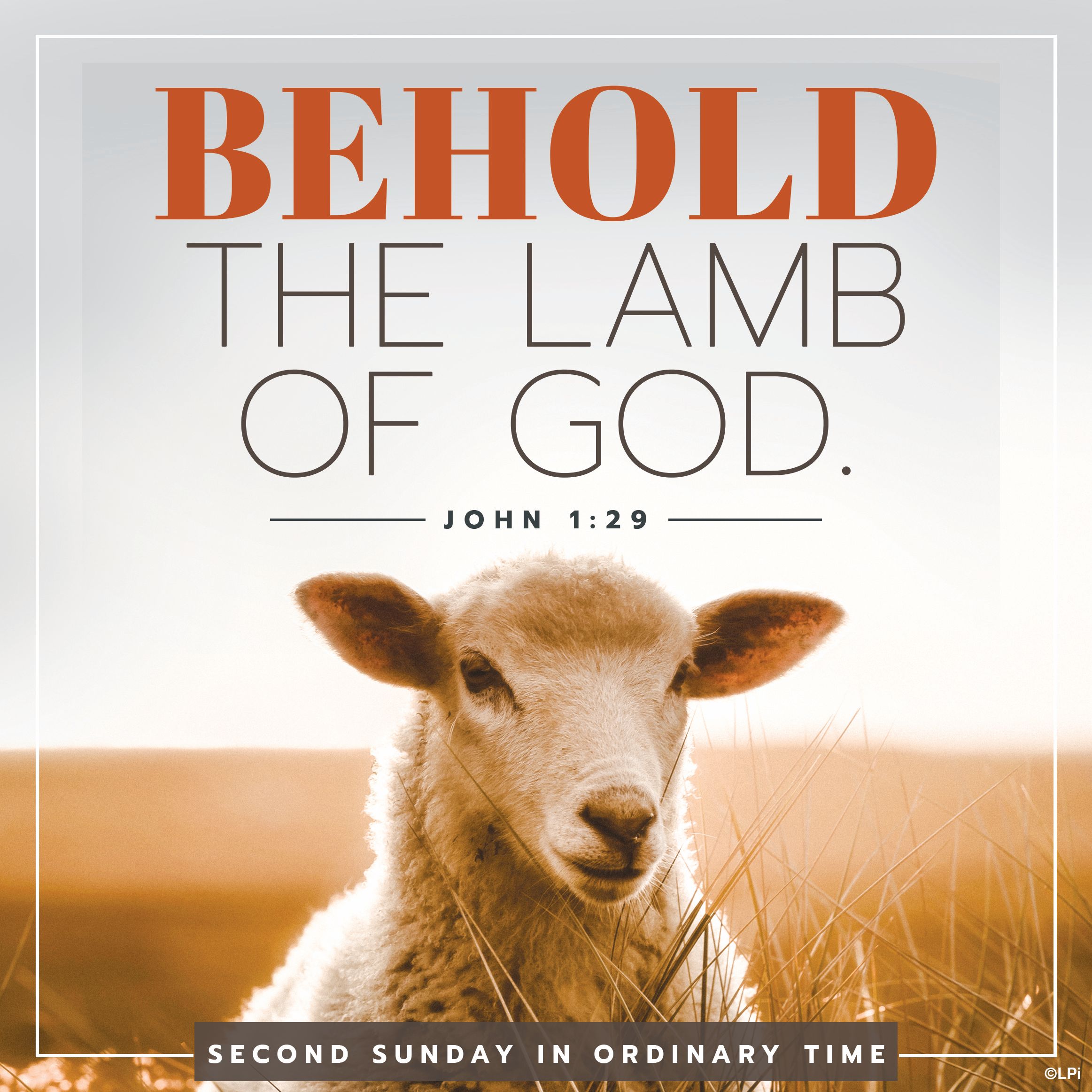 Bulletin for January 18th Weekend