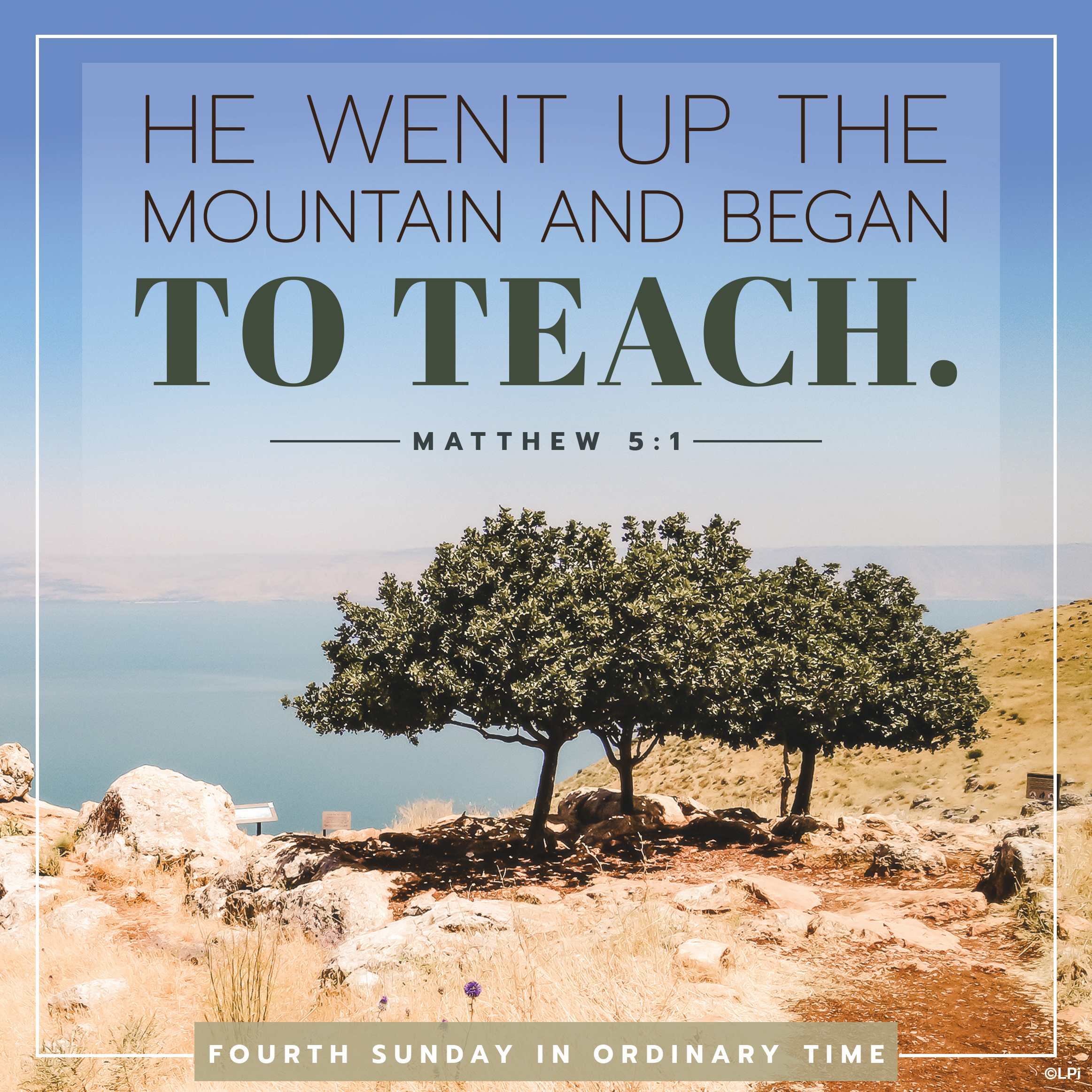 Bulletin for February 1st Weekend