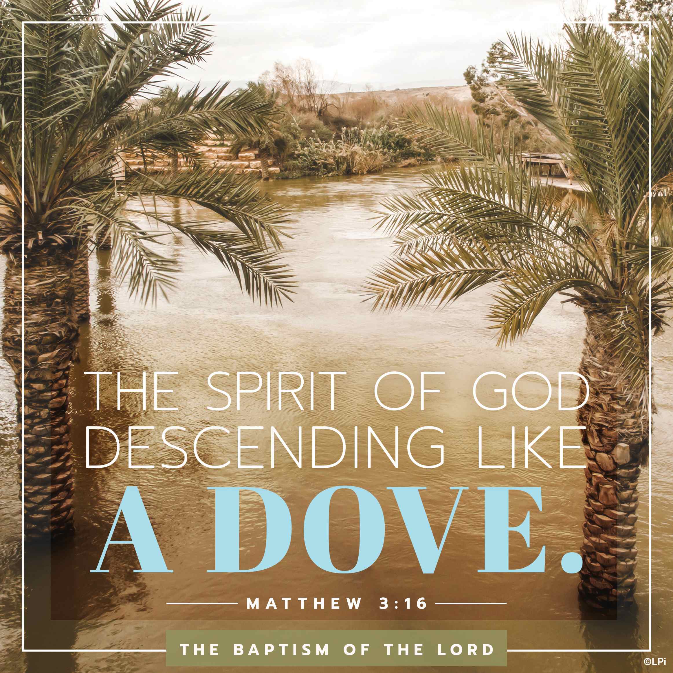 Bulletin for January 11th Weekend