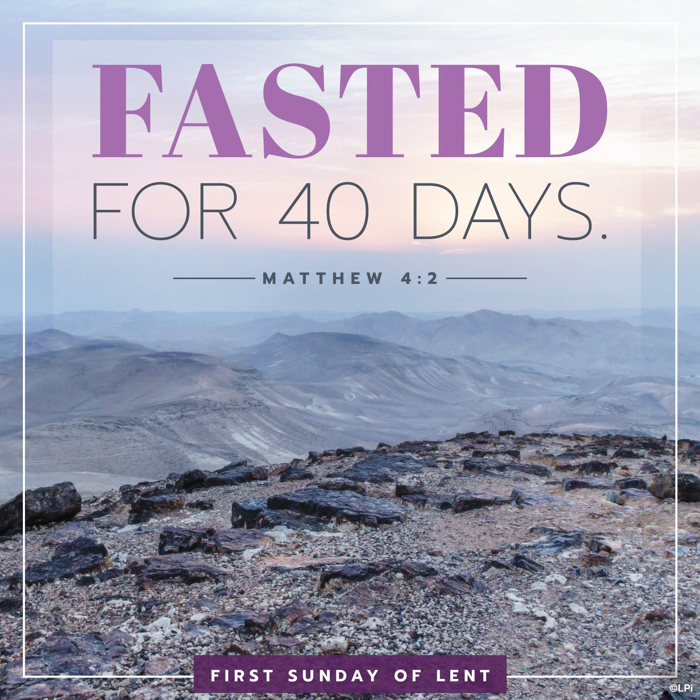 Bulletin for February 22nd Weekend