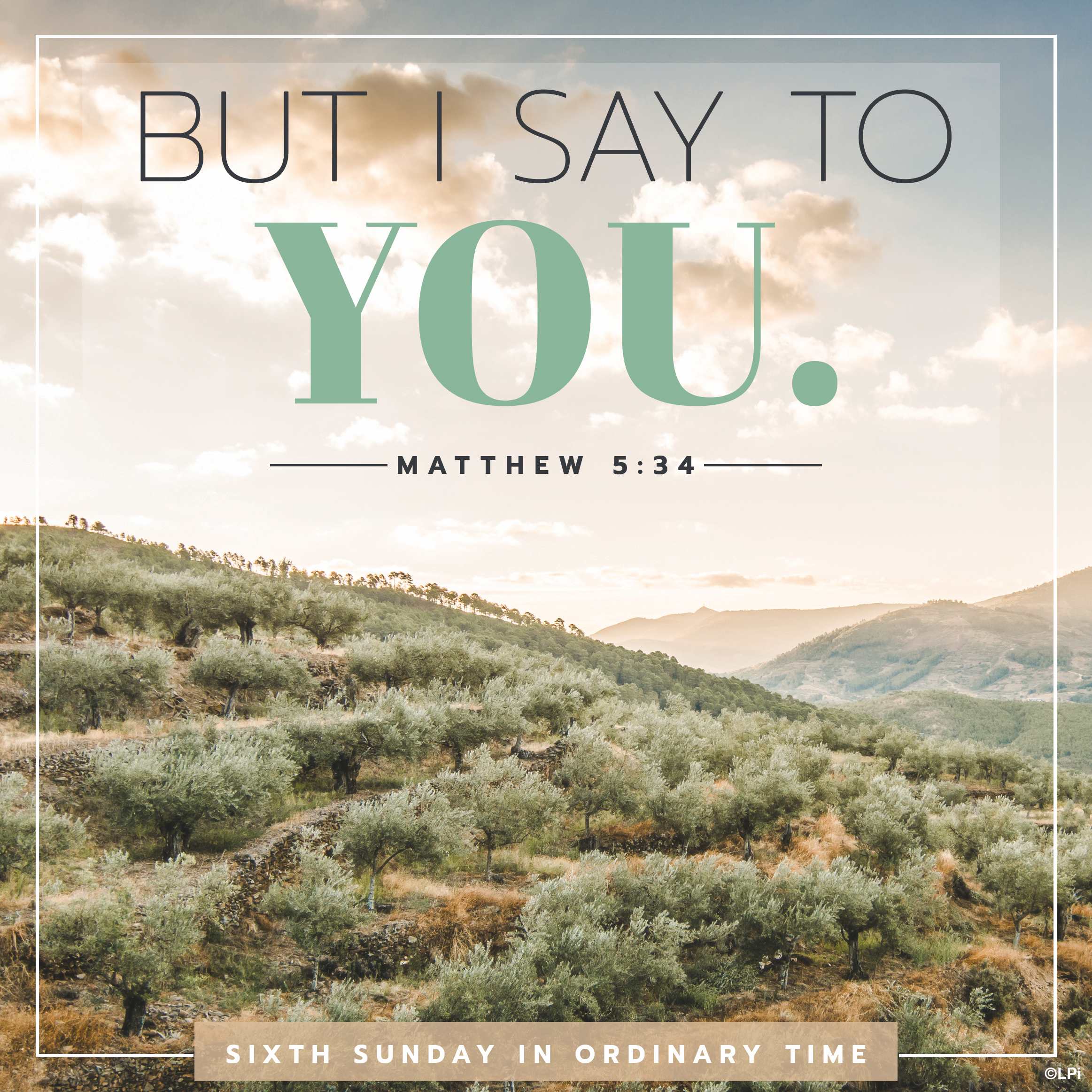 Bulletin for February 15th Weekend