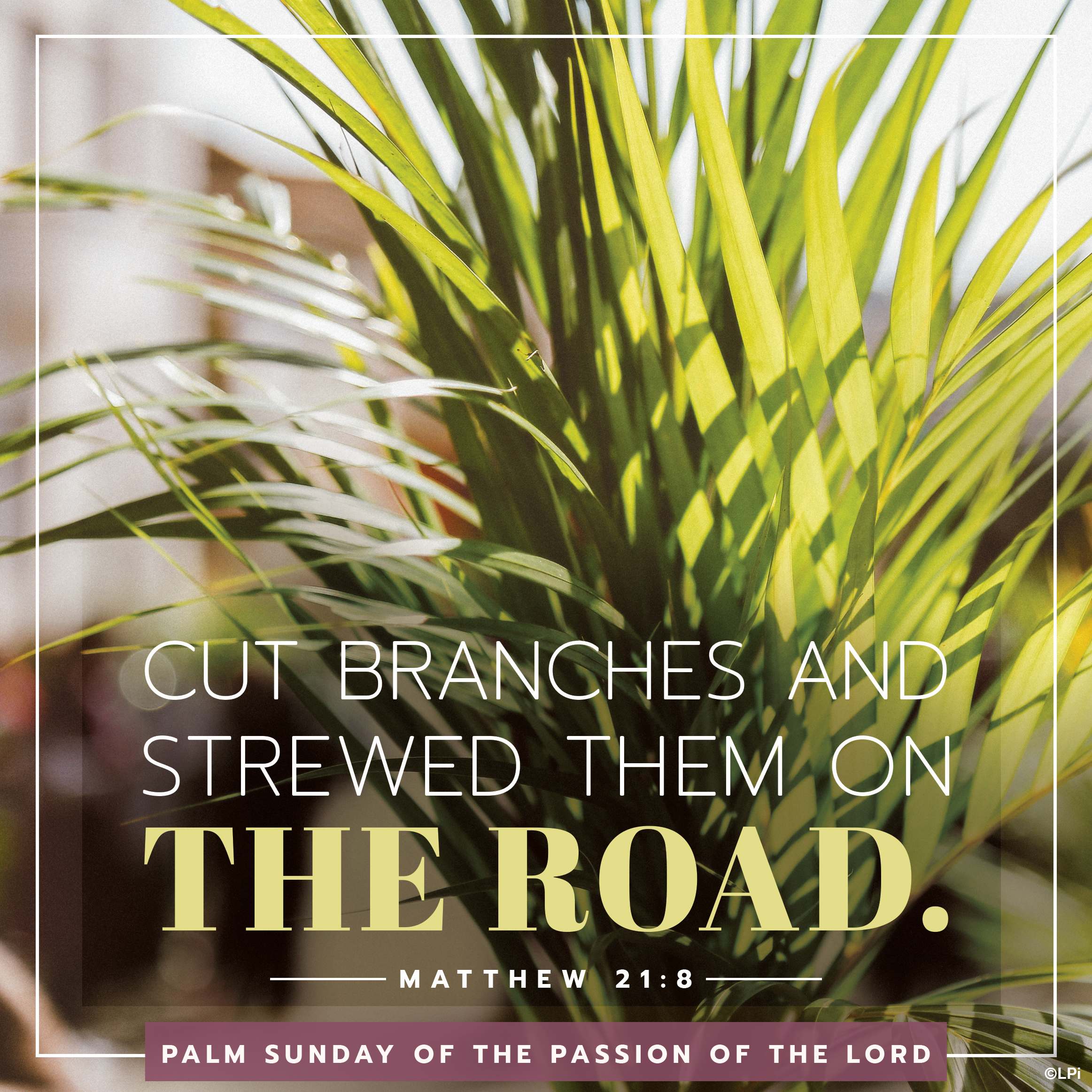 Bulletin for March 29th Weekend