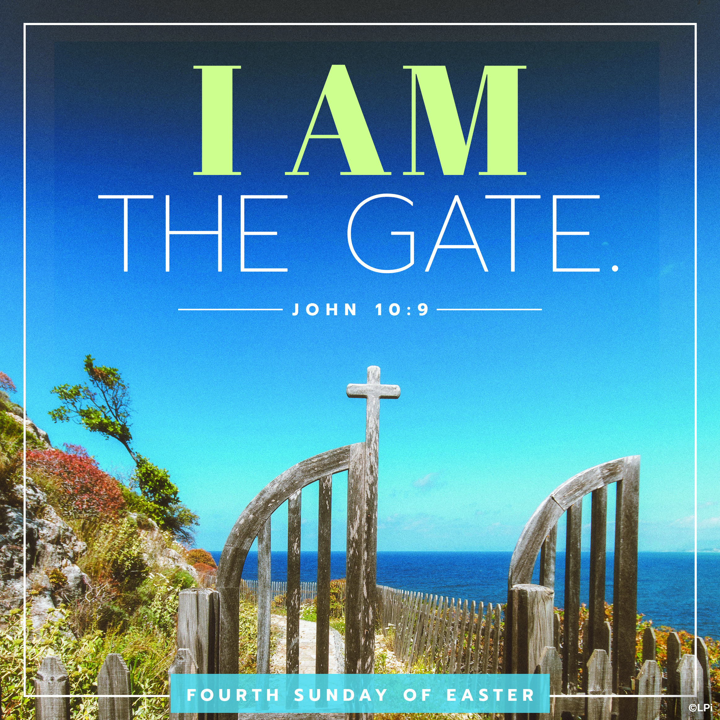 Bulletin for April 26th Weekend