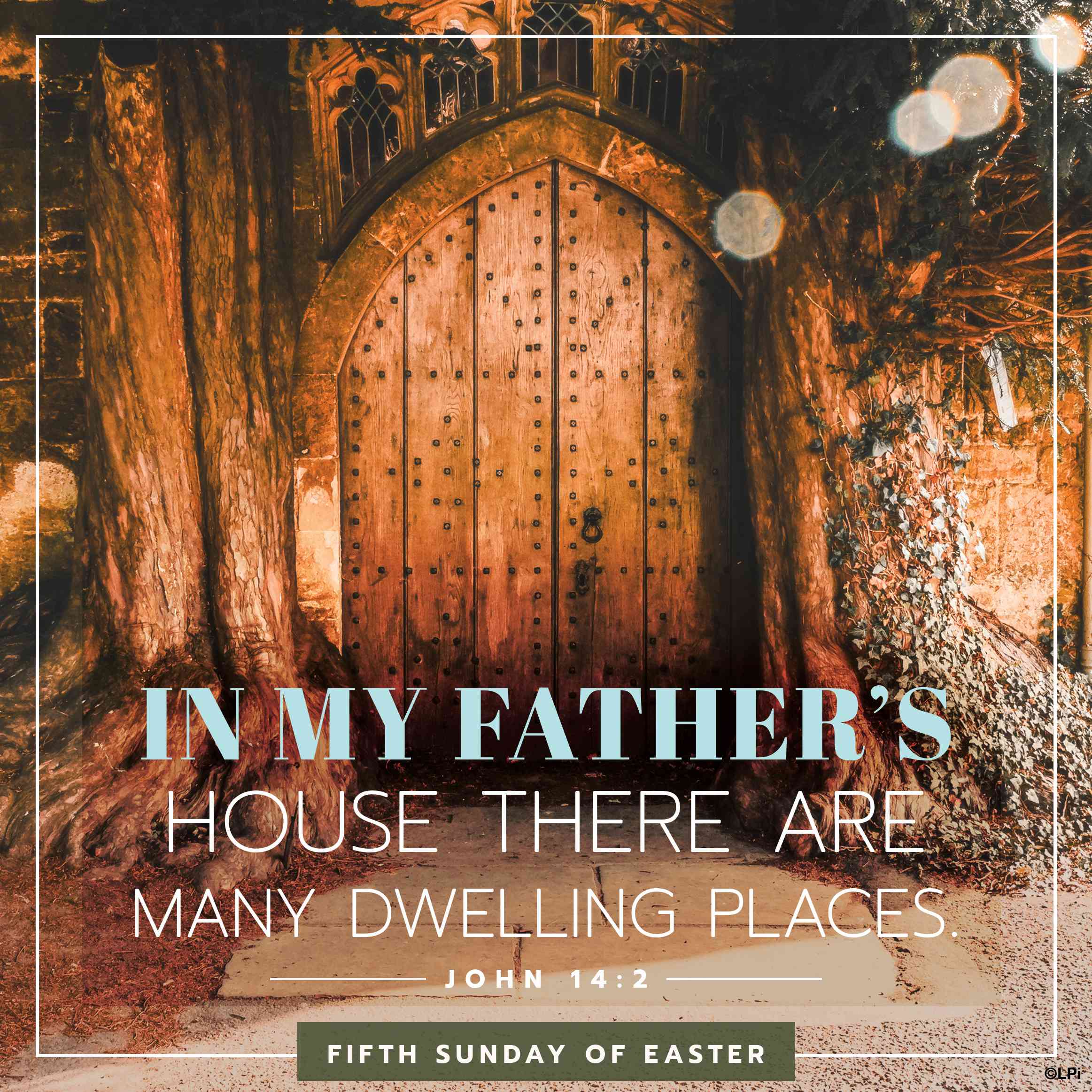 Bulletin for May 3rd Weekend