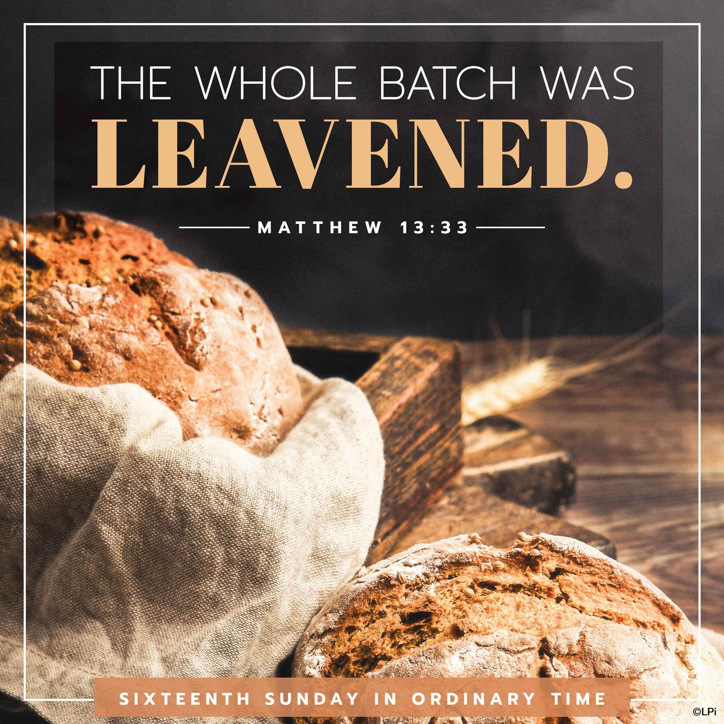 Bulletin for July 19th Weekend