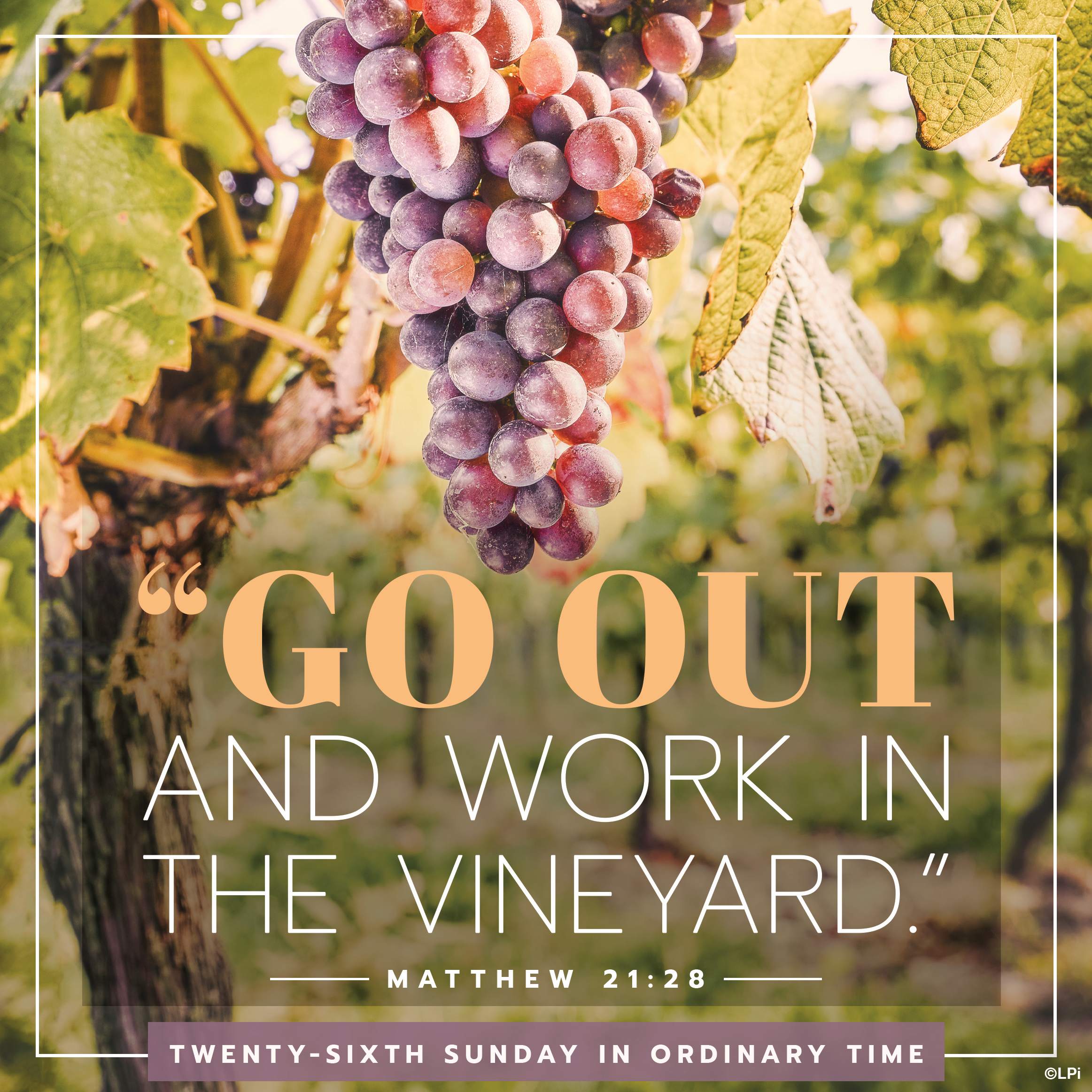Bulletin for September 27th Weekend